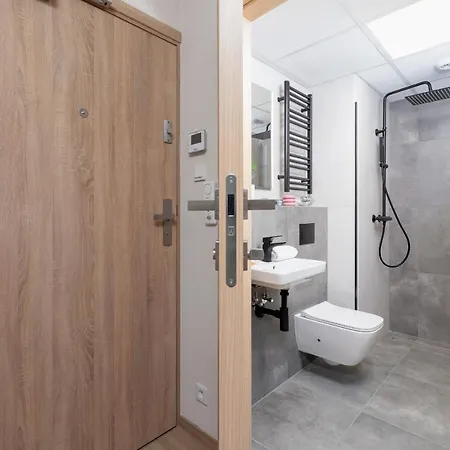 Srodmiescie Katowa Air-conditioned By Renters Апартаменты Краков
