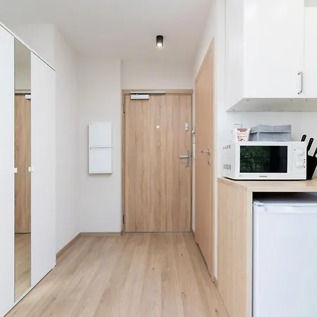 Srodmiescie Katowa Air-conditioned By Renters 크라쿠프